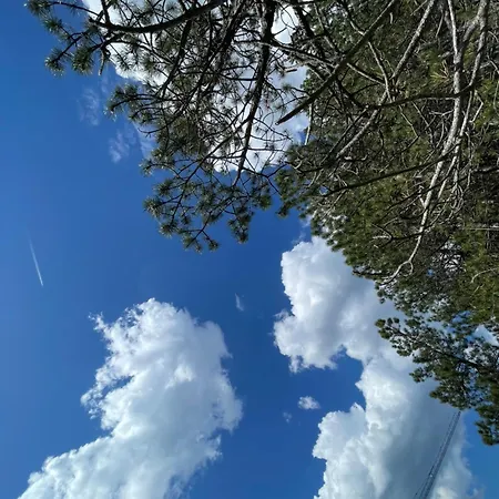 Lägenhet Divcibajka Divčibare