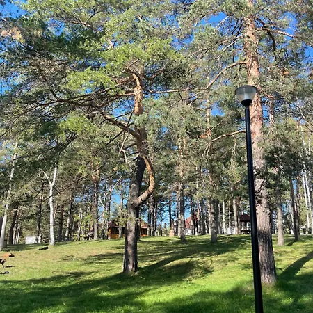 Divcibajka Apartamento *