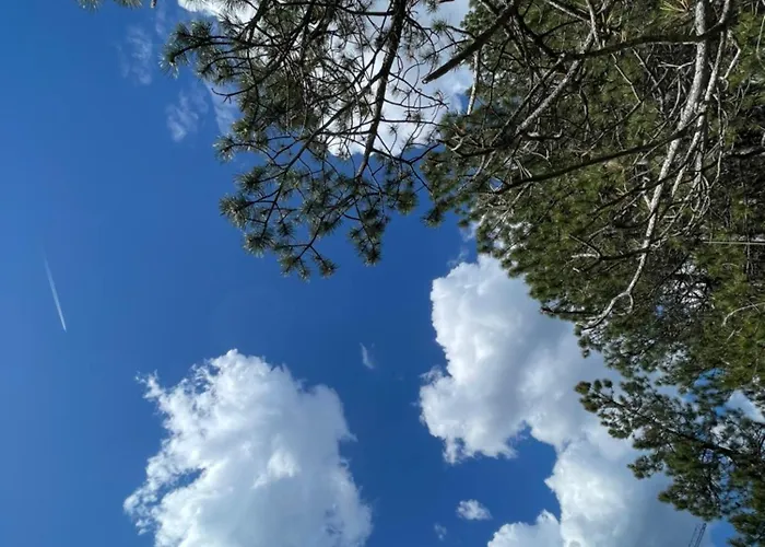 Daire Divcibajka Divčibare